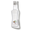 La Liqueur de MONIN Noix de Coco 70cl - 20%