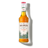 Le Sirop de MONIN Agave