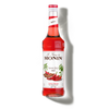 Le Sirop de MONIN Saveur Spicy