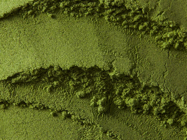 Saveur du Moment : Le Concentré de MONIN Thé Vert Matcha