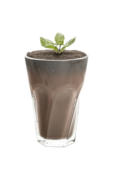 Plante Art Chocolat Menthe glaciale