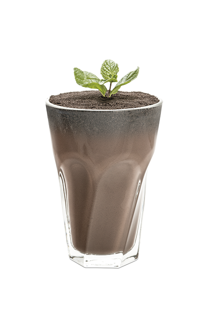 Plante Art Chocolat Menthe glaciale