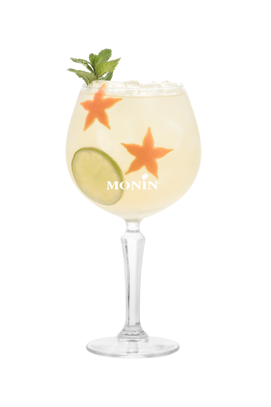 Gin Tonic Mandarine et Baies Roses