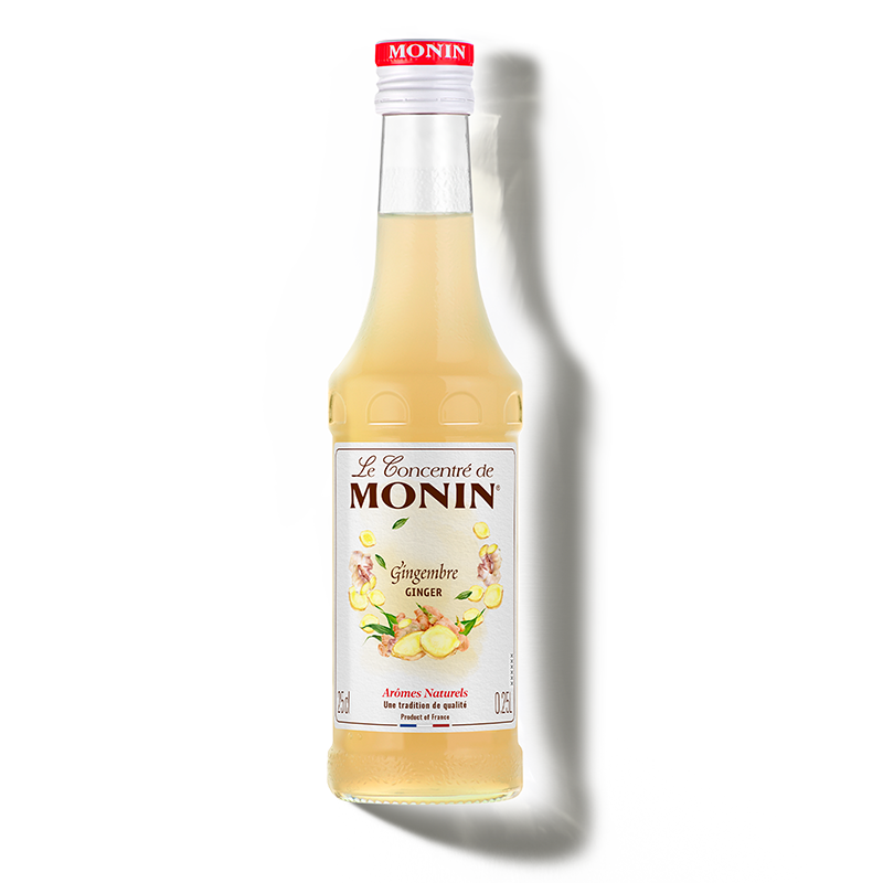Le Concentré de MONIN Gingembre