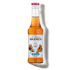 Le Sirop de MONIN Caramel sans Sucre
