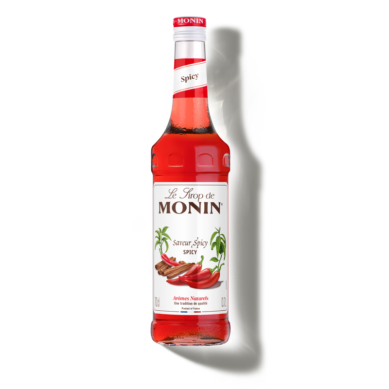 Le Sirop de MONIN Saveur Spicy